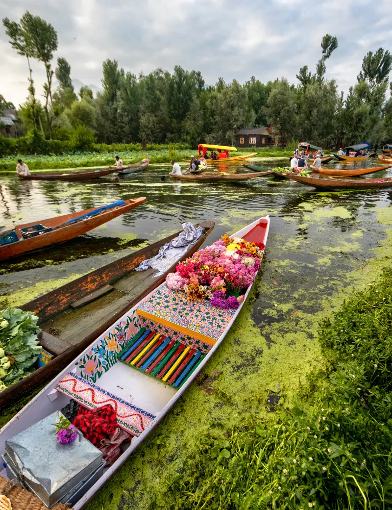 Kashmir